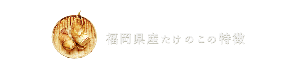 福岡県産たけのこの特徴